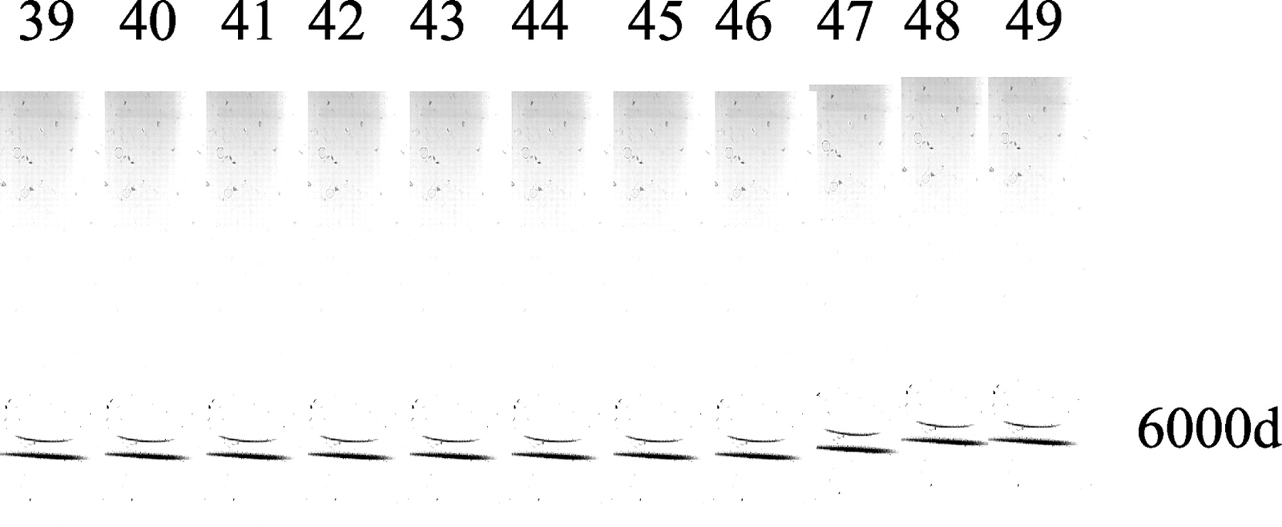 F3_large
